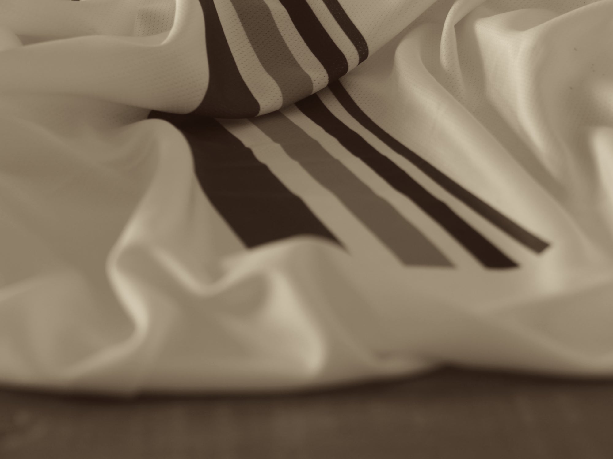 P4131795_copia_2.jpg