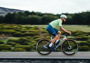 DUSTY LIME - SIGNATURE Jersey Man