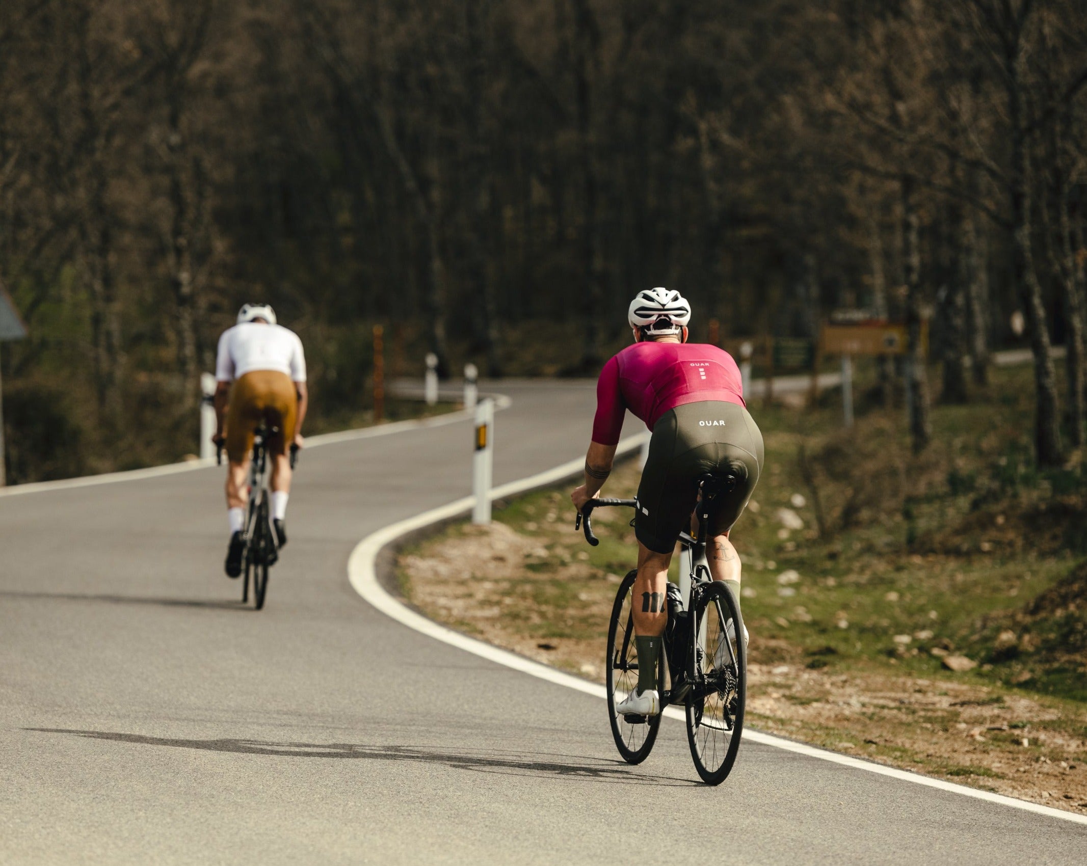 WILD GREEN - EVO Bib Shorts Man